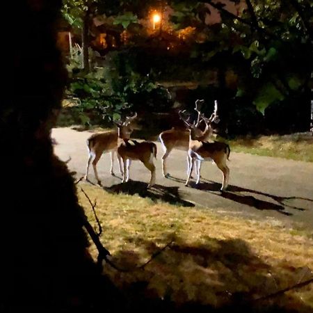 Grandes Chambres Dans Un Corps De Ferme Renove Du Chateau Du Piple, A 16Km De Paris ボアシー・サン・レジェ エクステリア 写真
